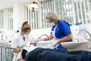 dental
