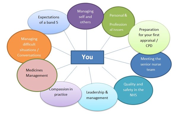 Preceptorship Programme diagram