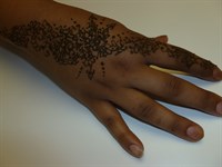 Holistic henna