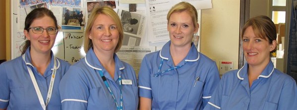 nurses - research model