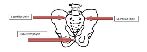 Pregnancy Related Pelvic Girdle Pain (PRPGP) - North Tees and Hartlepool  NHS Foundation Trust