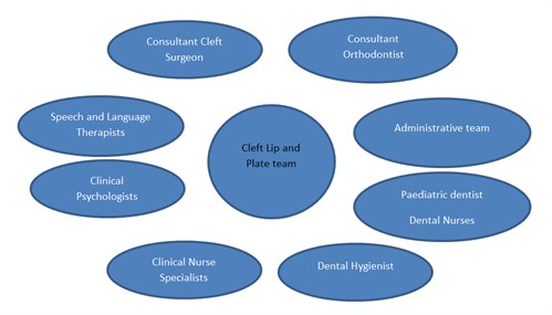 Cleft Team Graphic