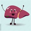 Liver